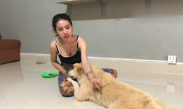 美女与狗交配视频