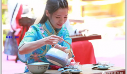 茶艺表演视频,茶艺表演视频中的古典韵味与生活美学