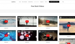 白白色免费视频,独家内容与观看体验全解析